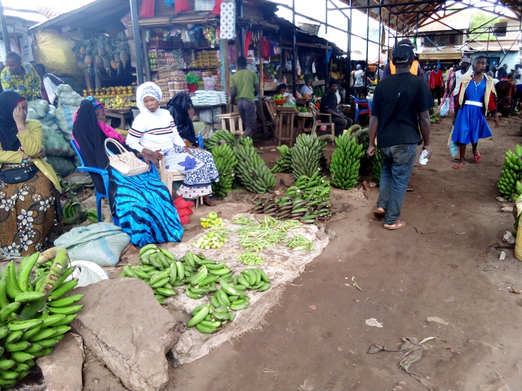 Tanzania agronomists borrow leaf from Swaziland farmers